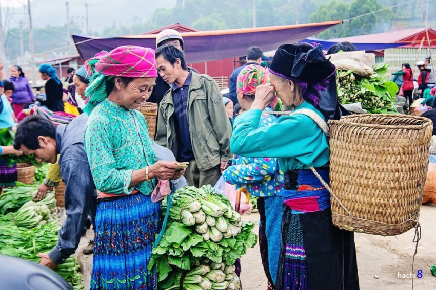 Essence of Northern Vietnam: 7 Days of Culture and Nature from Ha Noi – Sapa – Ta Xua – Ha Giang