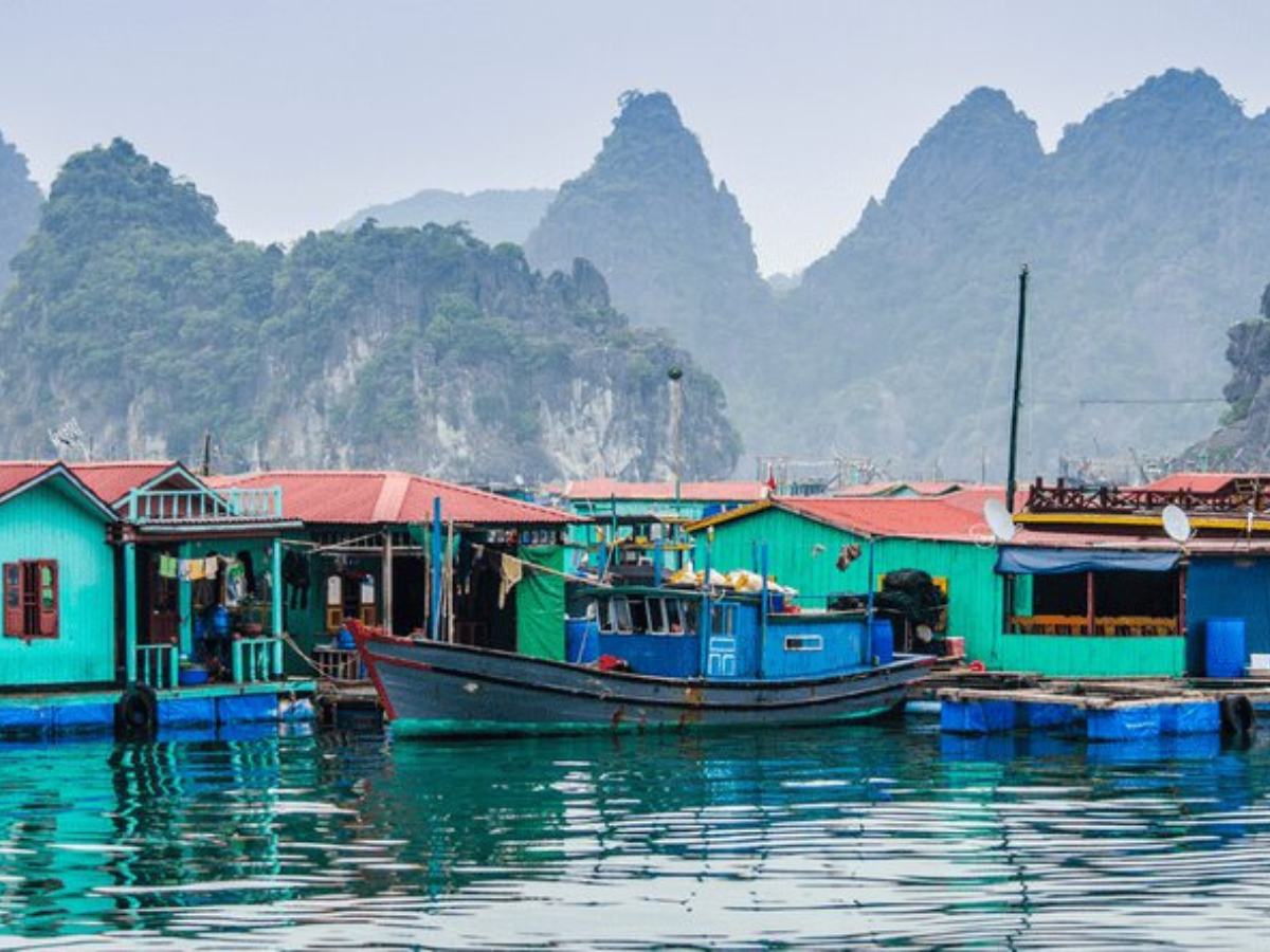 Ha Long fishing village - discover people's life