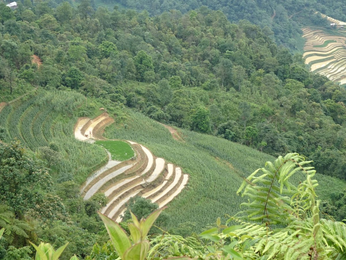 Landscape of hills and fields in Ha Giang