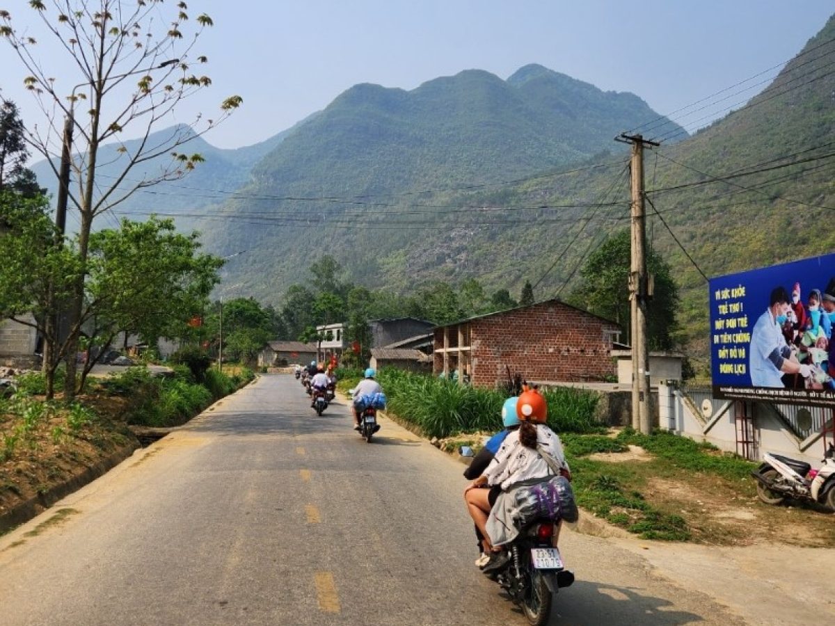 Tourists go to Ha Giang by motorbike 