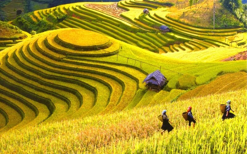 Essence of Northern Vietnam: 7 Days of Culture and Nature from Ha Noi – Sapa – Ta Xua – Ha Giang