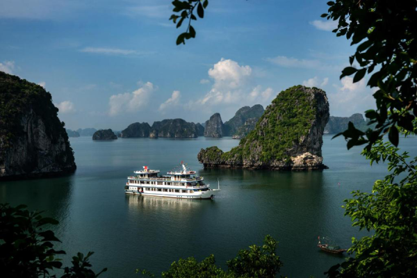 Bai Tu Long Bay Swan Cruise
