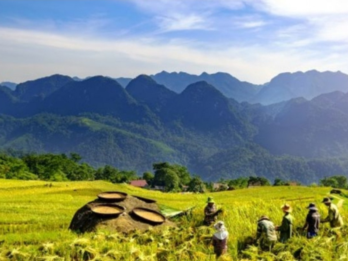 Explore Rice Terrace with Classic Tour in Pu Luong