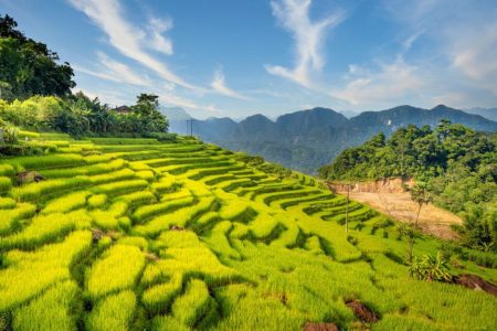 EXPLORE RICE TERRACE,WATERFALL WITH TOUR PU LUONG 2 DAYS 1 NIGHT